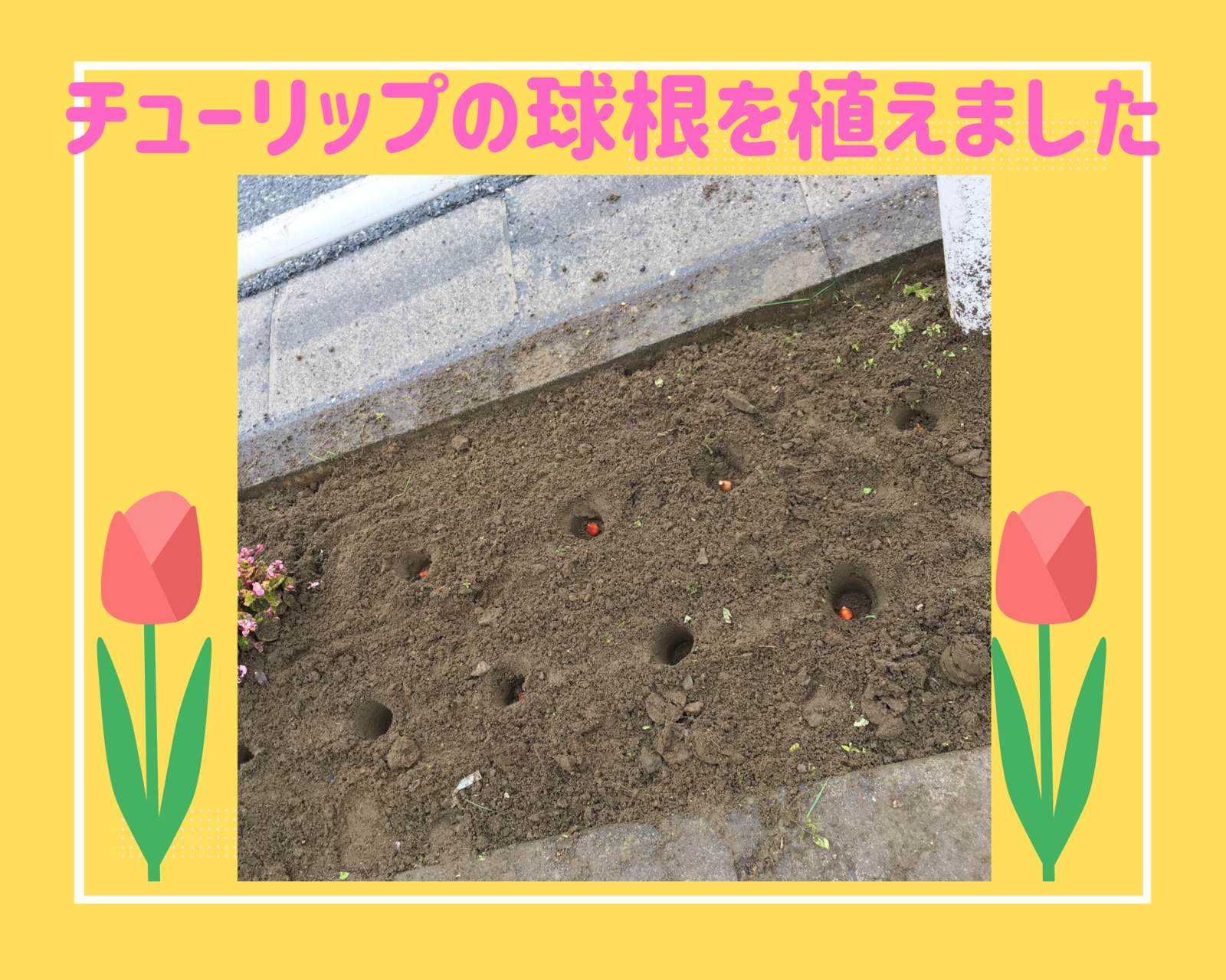 🌷スマイルサポーター花街道🌷